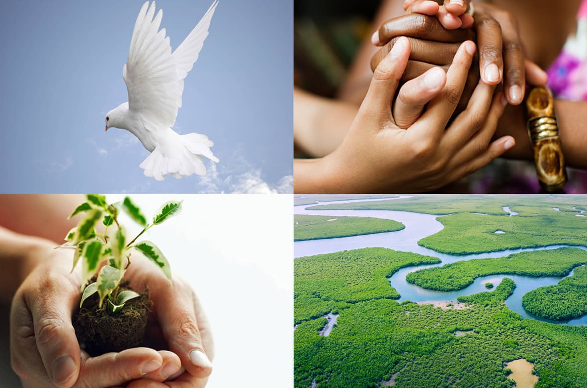 a better world