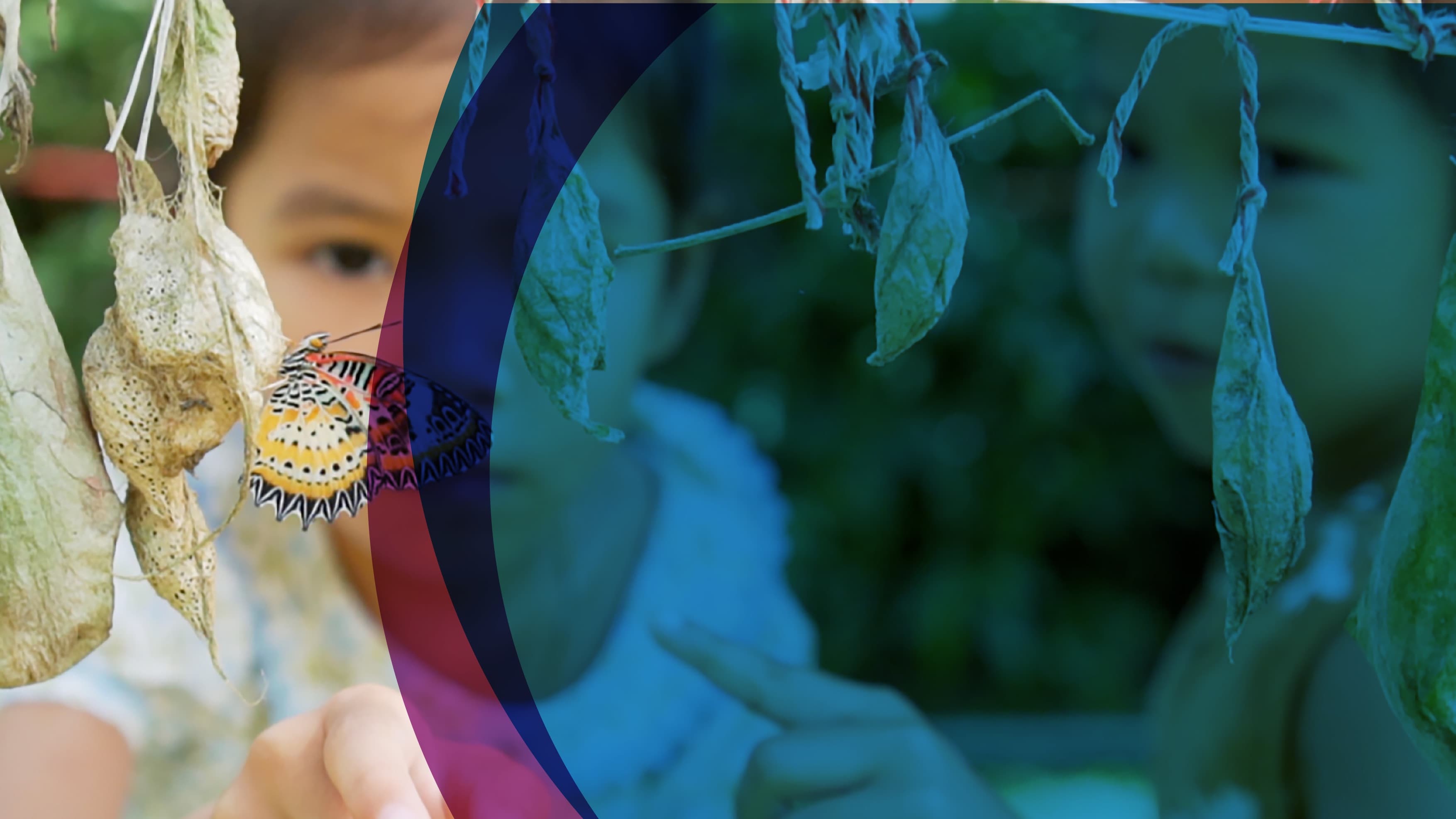 Santeon visual identity