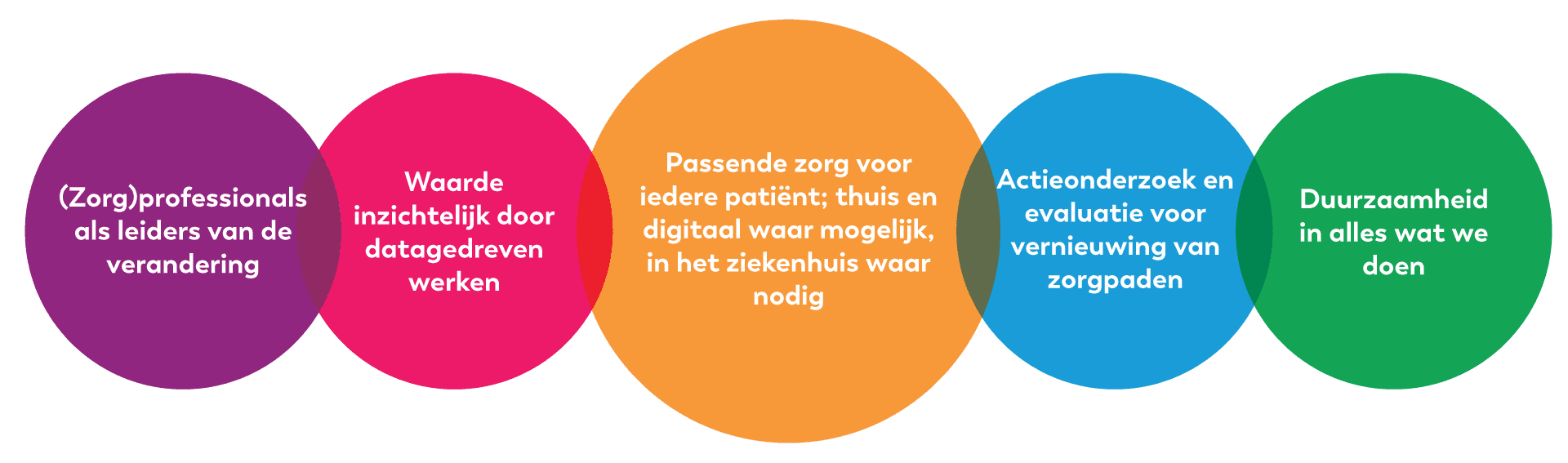 Santeon brand guidelines